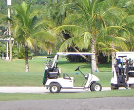 Golf Carts on the Green in Naples, FL.