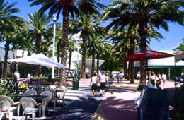 Lincoln Road Mall in Miami Beach, FL